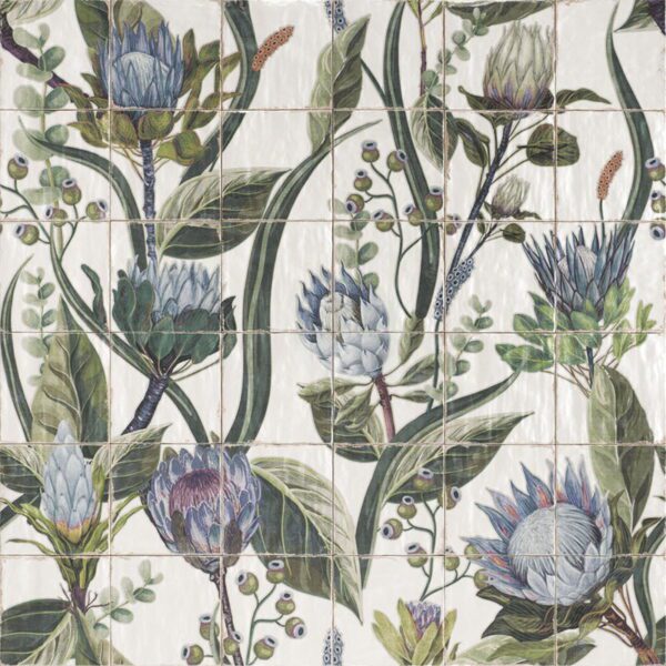 Livorno: Protea Mural